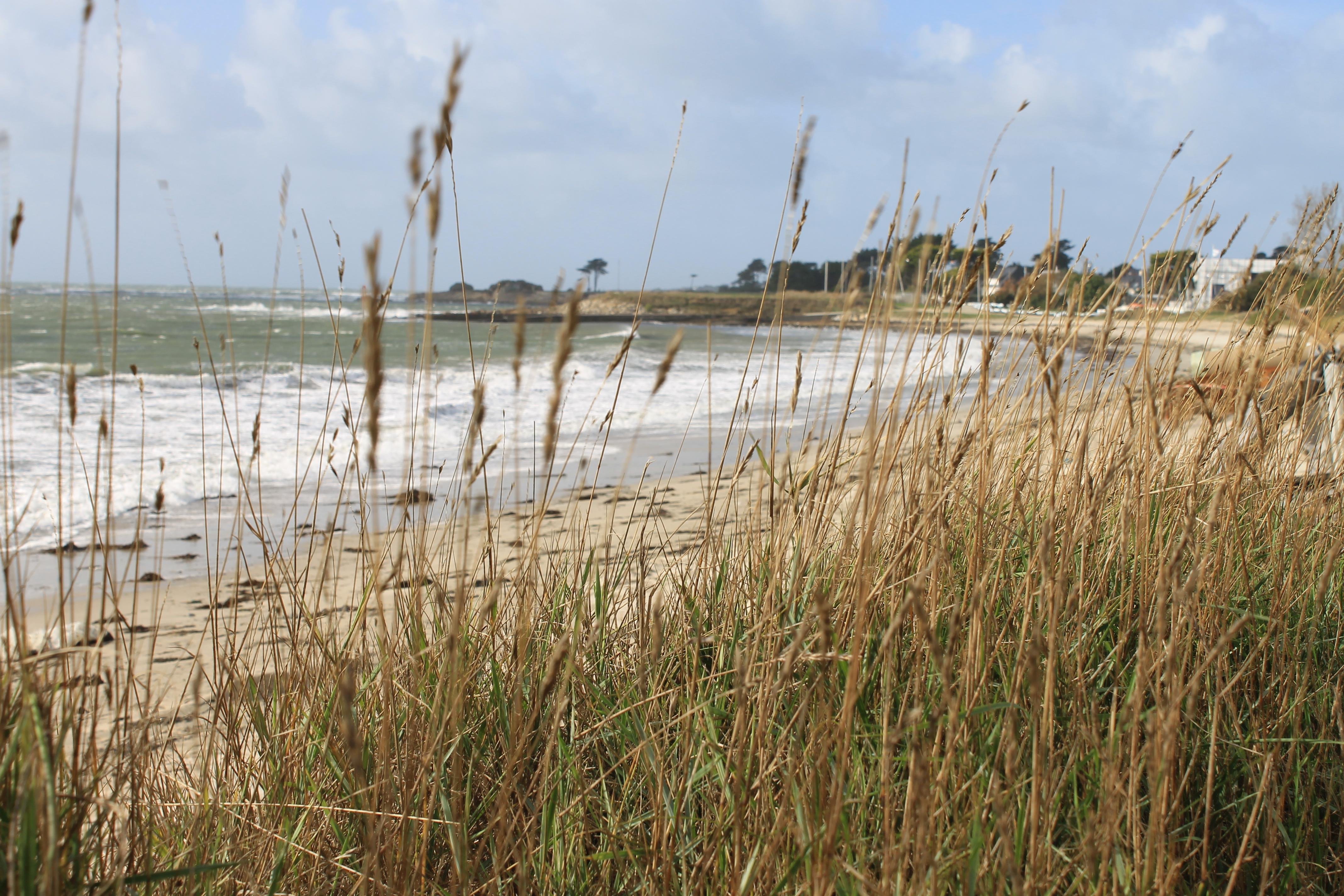 Logis Hotel & Restaurant Les Mouettes - Larmor Plage, Proche De Lorient Exterior foto
